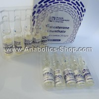 Testosterone Enanthate by Muscular Development Pharma