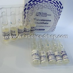 Testosterone Enanthate by Muscular Development Pharma