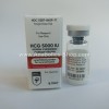 HCG Gonadotropin Hilma Biocare